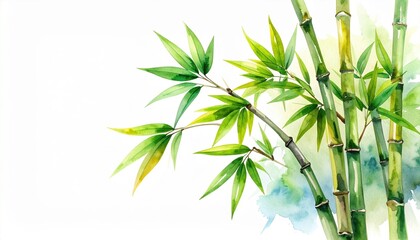 Fototapeta premium Lush Green Bamboo Watercolor Painting Botanical Illustration Perfect for Zen Decor Asian Art Print