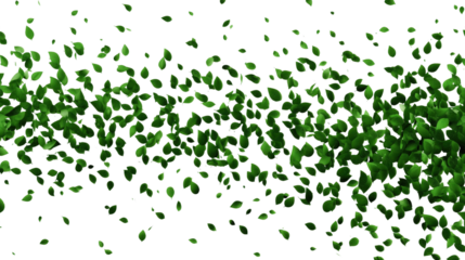 Green leaves blowing in the wind on a white background, nature and environmental concept