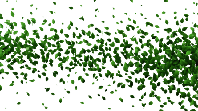 Green leaves blowing in the wind on a white background, nature and environmental concept