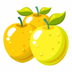 vector illustration of an apple