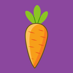 vector illustration of a carrot