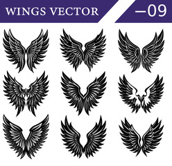 Fototapeta premium Set of Stylized Black Wings Vector Illustrations – Gothic Angel and Demon Feather Designs for Tattoo Art and Mystical Fantasy Use.