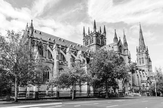 Sydney, New South Wales, Australia: Cathedral of Saint Mary of the Cross; tourist landmark Cathedral of Sydney; Saint Mary's Cathedral in black and white - Powered by Adobe