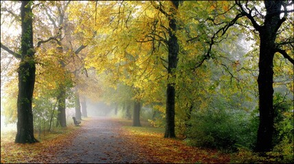 Naklejka premium Autumn Pathway Through a Golden Forest