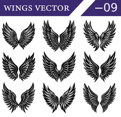 Fototapeta premium Vector Pack of Gothic Black Wings – Detailed Feather Silhouettes for Angelic and Demonic Tattoo Art and Fantasy Poster Designs.
