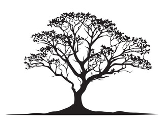 Tree silhouette. Black Tree silhouette on white background. Vector illustration.	

