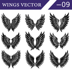 Fototapeta premium Mystical Black Wings Vector Set – Silhouettes of Gothic Feathered Angel and Demon Wings for Tattoos, Posters, and Fantasy Illustrations.