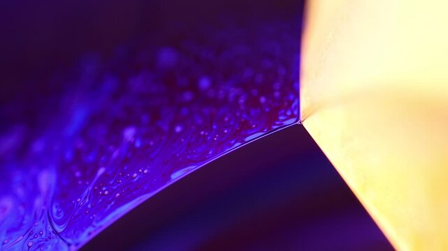 Two-sided reflection of the liquid surface, purple and yellow light