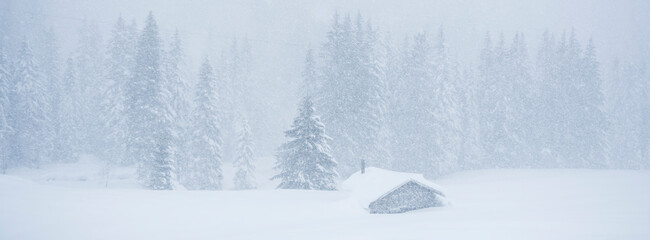 Snowy forest and cabin in a winter storm.