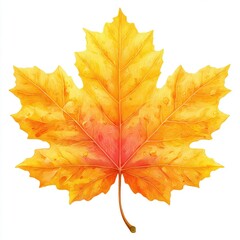 Obraz premium Vibrant Autumn Maple Leaf (1)