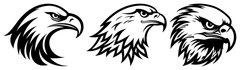 Fototapeta premium PNG Eagles eagle bird line transparent background.