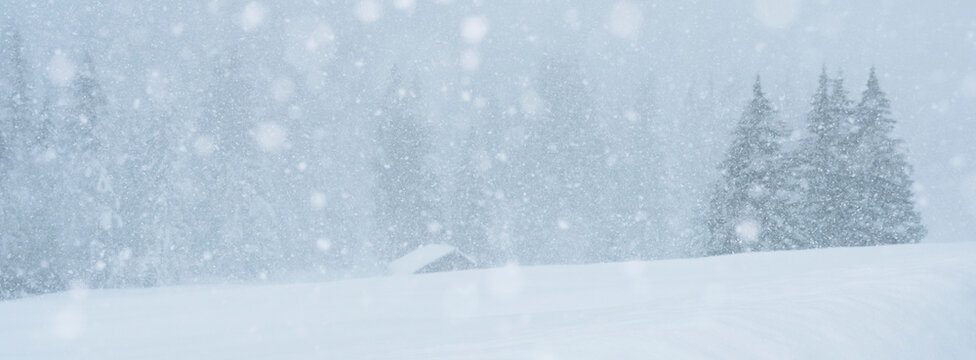 Snow falls heavily on a winter landscape with trees and a small building. San Pellegrino Pass, Fiamme Valley, Trentino, Italy. Visibility is low due to the blizzard.