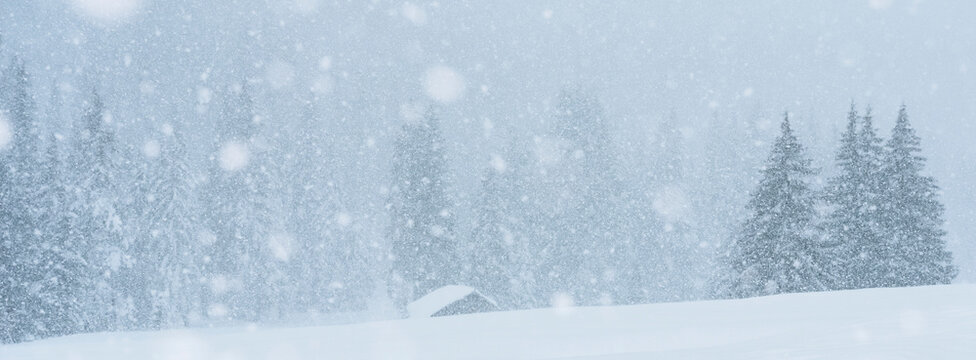 Snow falls heavily on a winter landscape with evergreen trees and a small building. San Pellegrino Pass, Fiamme Valley, Trentino, Italy.  - Powered by Adobe