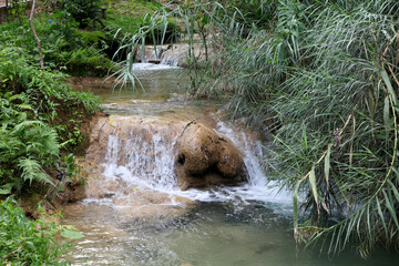 landsape Agua Azul waterfalls, tropical forest, Chiapas, Mexico