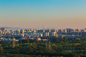 A large forest in Beijing's Nanyuan District and modern urban buildings in the distance