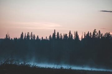 Obraz premium quiet and serene sunrise in a pond in alberta, canada, with moody forest and pastel pink sky surrounded by pine forest