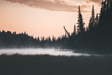morning hike at sunrise in canada, by a pine tree forest, with misty air and pastel colours, full moon and pale clouds in the sky, by the little quiet pond