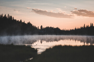 Fototapeta premium morning hike at sunrise in canada, by a pine tree forest, with misty air and pastel colours, full moon and pale clouds in the sky, by the little quiet pond