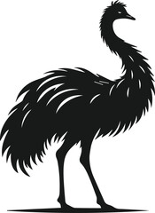 Emu bird vector silhouette isolated drawing