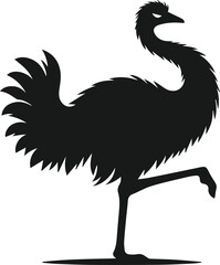 Emu bird vector silhouette isolated drawing