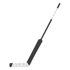Ice hockey stick sport