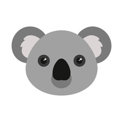 Koala: The Endearing Australian Marsupial