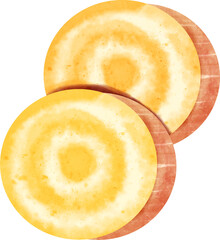 watercolor golden beetroot