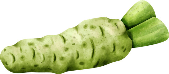 watercolor wasabi