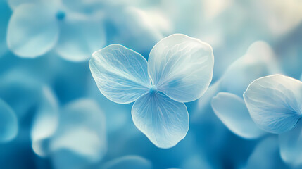 Delicate Light Blue Hydrangea Petals