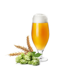 Fresh beer in glass with hop flowers and ears of wheat on white background