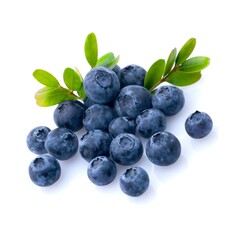 blueberries on white background