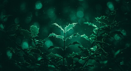 Fototapeta premium Enchanting Emerald Holly Leaves in a Dark Forest Setting. A mystical nature scene with bokeh lights
