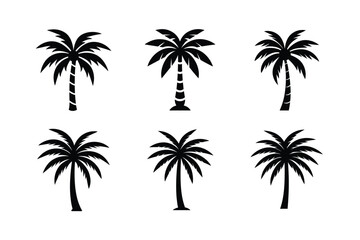 Palm Tree Tropical Scene