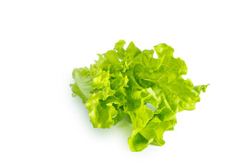 Lettuce leaves isolated on white background. Healthy eating concept.