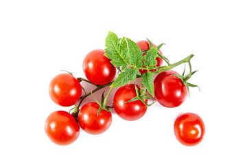 Branch of fresh ripe cherry tomatoes with leaves.