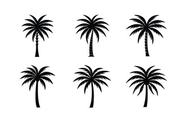 Fototapeta premium Palm Tree Nature Graphic