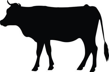 black cow silhouette on white background