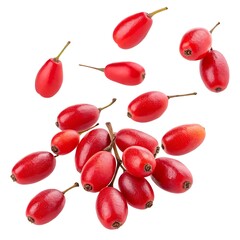 Studio shot of fresh red goji berries still attached to the stems