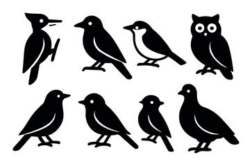Silhouette set of various bird species including owl and woodpecker