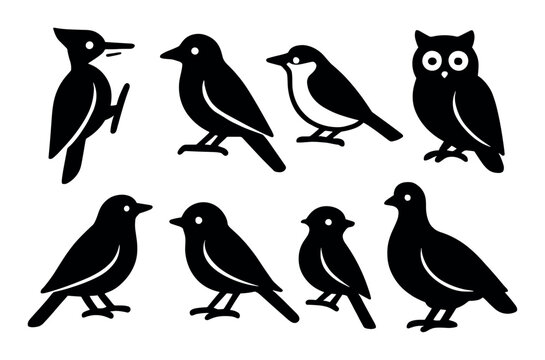 Silhouette set of various bird species including owl and woodpecker