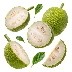 Fototapeta premium Fresh green jackfruit with leaves, sliced pieces floating on a white background