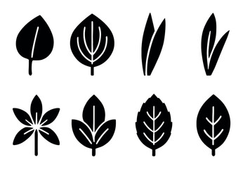 Set of eight black leaf silhouettes in various shapes and designs