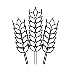 wheat icon, wheat vector illustration-simple illustration of wheat, perfect for wheat logos and icons