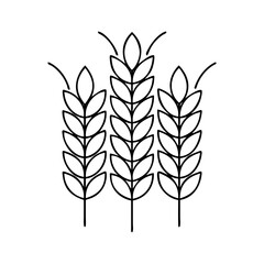Fototapeta premium wheat icon, wheat vector illustration-simple illustration of wheat, perfect for wheat logos and icons