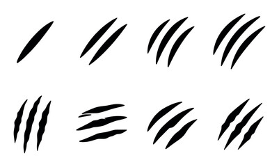 Fototapeta premium Set of black animal claw scratch marks on white background