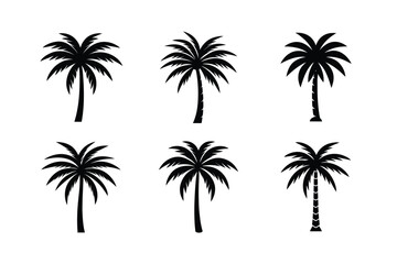 Palm Tree Paradise Graphic