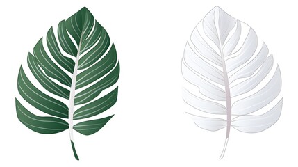 Obraz premium Professional Tropical Leaf Style Botany Design with Degraded Line Effect