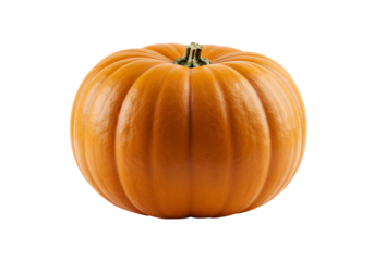 秋の豊潤なオレンジ色 完熟カボチャ 鮮やか背景