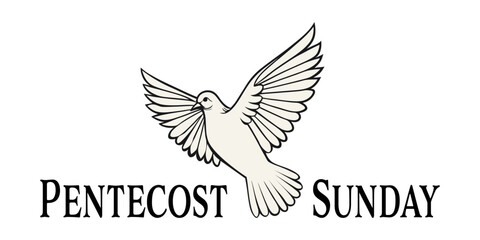 Illustration of a white dove with spread wings symbolizing the Holy Spirit, accompanied by the text Pentecost Sunday. Ideal for church events, religious posters, or Pentecost celebrations
