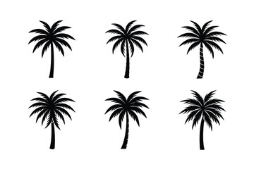 Minimalist Palm Tree Graphic